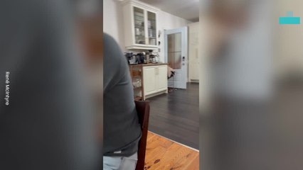 Little Girls Shocking Reaction to Grandpas Beard Shave