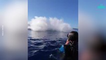 Humpback Whale Breach Stuns Swimmers in Incredible Close-up Moment