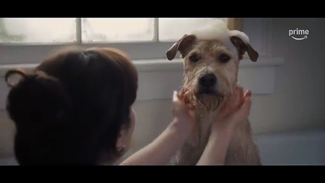 Tráiler oficial de 'Merv'