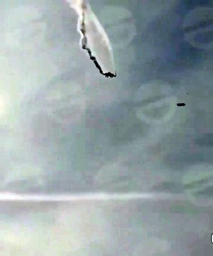 Video: Turkish military plane with 20 on board crashes in Georgia; casualties feared