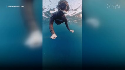 Freediver Narrowly Escapes Being 'Swallowed' Whole by Large Humpback Whale in Heart-Stopping Moment Captured on Video