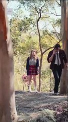 Never Reject A Wolf Princess  #reelshort