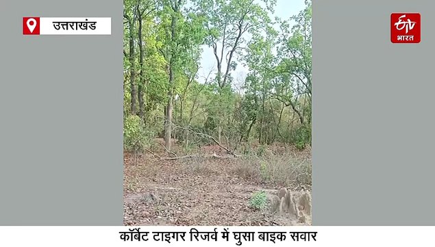 कॉर्बेट टाइगर रिजर्व में घुसा बाइक सवार, बाघ के सामने से गुजरा शख्स, कैमरे में कैद वीडियो, विभाग ने दिए जांच के आदेश