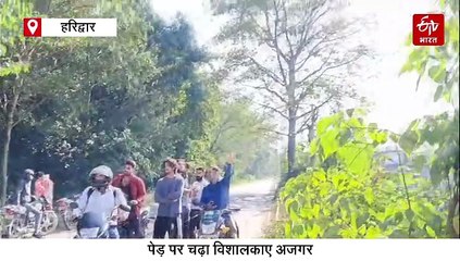 कॉर्बेट टाइगर रिजर्व में घुसा बाइक सवार, बाघ के सामने से गुजरा शख्स, कैमरे में कैद वीडियो, विभाग ने दिए जांच के आदेश