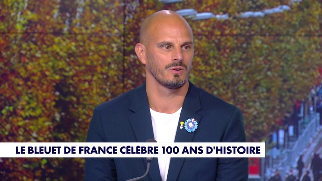 Brice Pillard, ambassadeur du Bleuet de France, est l'invité de Punchline sur CNEWS.