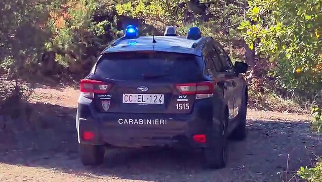 Image from field_mediaid