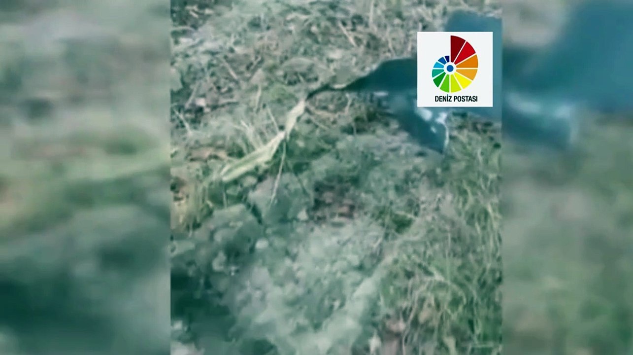 Gürcistan’da düşen askeri kargo uçağının parçalarına ulaşıldı