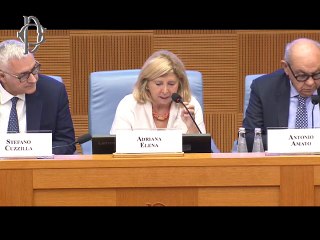 Roma - Audizione Chiappani (11.11.25)