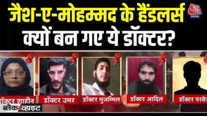 दिल्ली ब्लास्ट के पीछे डॉक्टर्स की 'टेरर टीम', कैसे जैश के लिए करने लगे काम? देखें