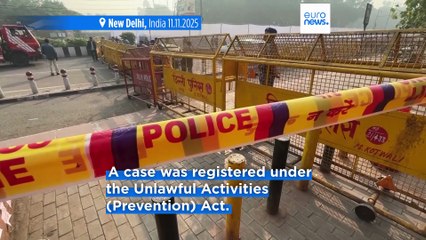 Latest news bulletin | November 11th, 2025 – Evening