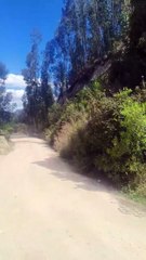 Imagem de "Virgem Maria" aparece em montanha na Colômbia