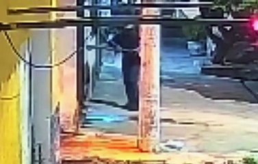 Cadela fica gravemente ferida após homem incendiar casa da tutora em Maceió