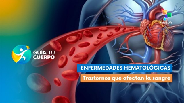 Enfermedades hematológicas: Trastornos que afectan la sangre