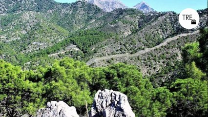 La ruta de senderismo más bonita de Málaga: pasarelas, molinos y un calzadas romanas entre pueblos con encanto