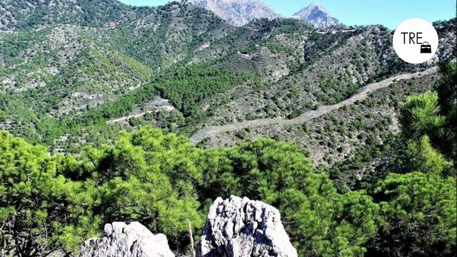 La ruta de senderismo más bonita de Málaga: pasarelas, molinos y un calzadas romanas entre pueblos con encanto