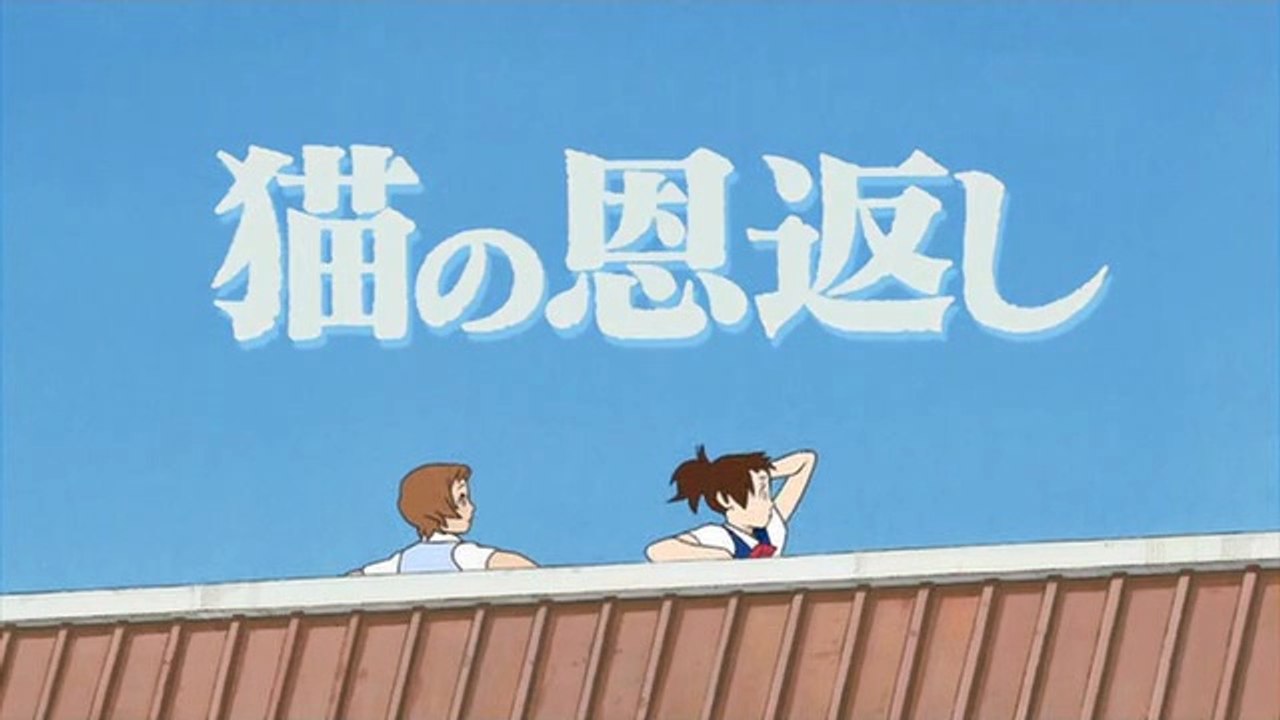 Das Königreich der Katzen