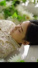 Renací y Me Casé con el Tío del Patán