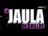 JAULA DE GRILLOS | Musical | entradas.com
