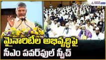 CM Chandrababu Naidu Speech: మైనారిటీల అభివృద్ధిపై సీఎం పవర్ ఫుల్ స్పీచ్ | Asianet News Telugu