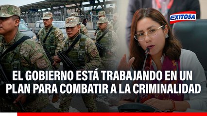 Gobierno está trabajando en un plan que "sea constantemente cambiable" para combatir a la criminalidad, asegura titular del Midis