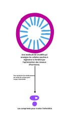 Un médicament futuriste pour traiter l’infertilité