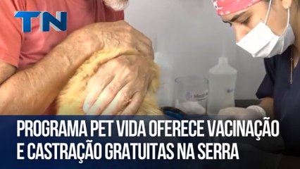 Programa Pet Vida oferece vacinação e castração gratuitas na Serra
