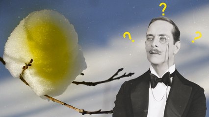 13 Faits Sur La Neige Qui Vous Donneront Des Frissons