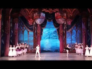 El lago de los cisnes - Ballet de San Petersburgo @entradas