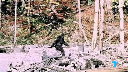 X-Files’ Agent Scully and The Power of Skepticism: Why We’re Drawn to the Unknown 🕵️👻