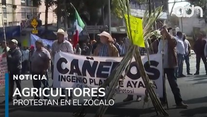 Agricultores toman el Zócalo, exigen al gobierno reconocer al campo como prioridad y mejores precios