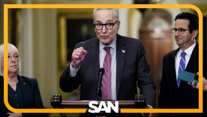 Some Democrats call for Schumer to step down amid latest deal to reopen government