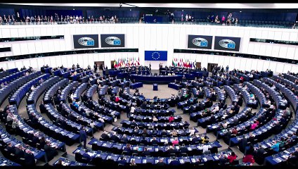 Cuestión de principios - Tráiler español