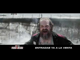 Viuda Negra @entradas