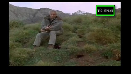 La Vida de las Aves: Carnivoros - Documental 1998 - Español Latino - Episodio 4