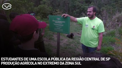 Estudantes de uma escola pública da região central de sp conheceram uma produção agrícola no extremo da zona sul