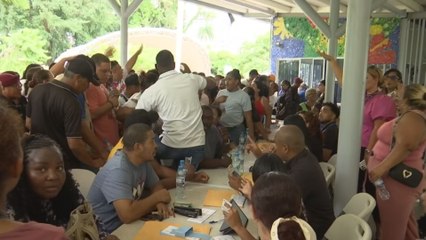 Festival Navideño 2025: Alcaldía otorgará este martes 400 permisos a microempresarios