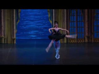 El lago de los cisnes @entradas