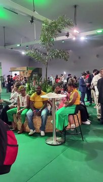 BNews COP30: Isabela Suarez destaca política ambiental de Salvador