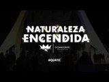 Naturaleza Encendida