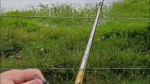 Pescando en lagunas de caminos rurales 🎣🌲