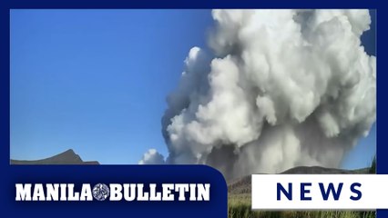 Short-lived phreatomagmatic activity observed at Taal Volcano on Nov. 12