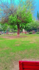 Heavy rain in park park