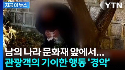 "털썩 쭈그려 앉더니"... 경복궁에서 발견된 충격적 장면 [지금이뉴스] / YTN