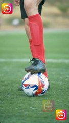 Mi Vecino El Capitan Completa