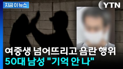 여중생 넘어뜨리고 음란 행위...도쿄서 체포된 '50대 한국인' [지금이뉴스] / YTN
