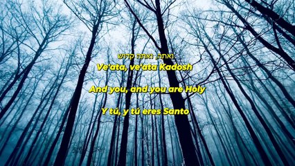 Kadosh by Moshe Kahan