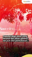 Asap Karhutla Selimuti Permukiman di Kampar, Warga Keluhkan Batuk Hingga Sesak Napas