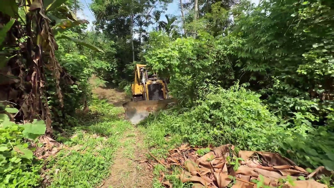 Old Road Bulldozer D6R XL Service for Better Plantation Roads