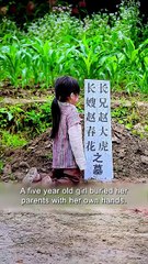 😭🌧 A 5-Year-Old Buried Her Parents With Her Own Hands