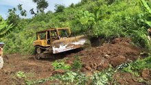 Overcoming Old Plantation Road Challenges with a D6R XL Bulldozer